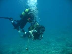 PROGRAMA CURSOS DE BUCEO ADAPTADO 2011